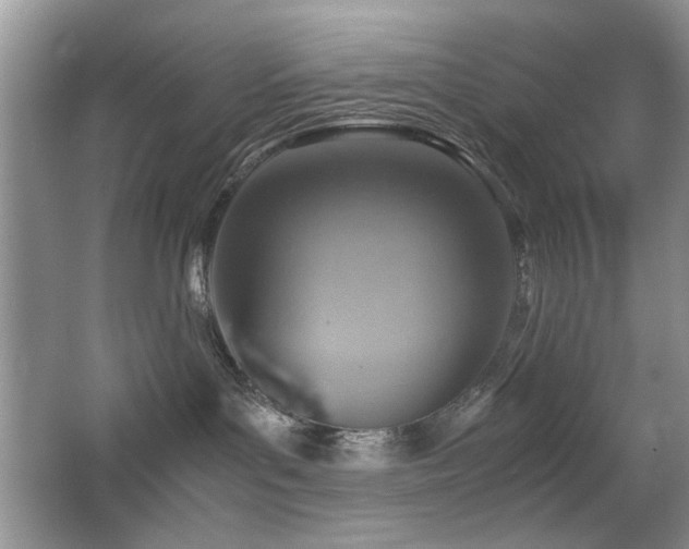 X0000065250143200602171438