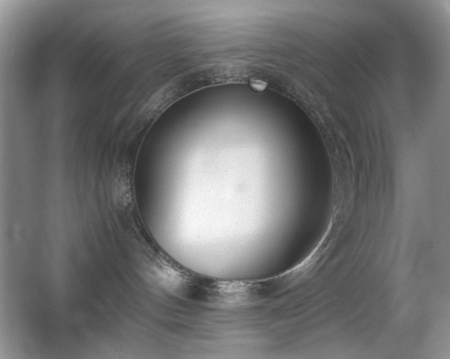 X0000065250144200602171438