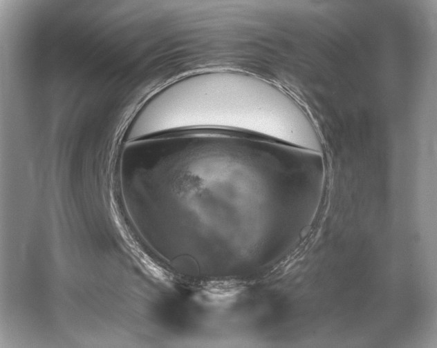 X0000065250145200602171437