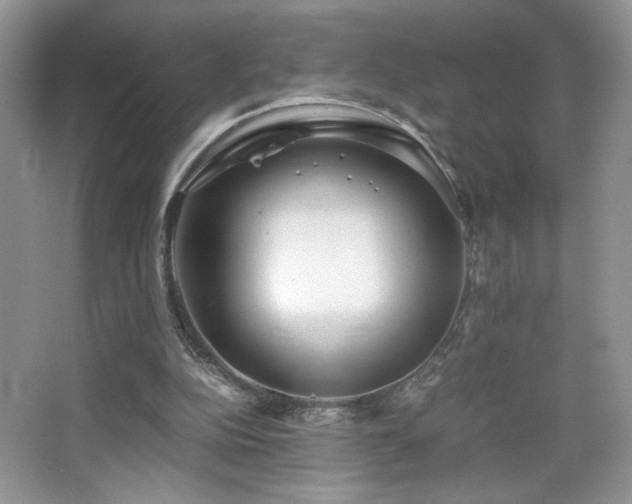 X0000065250152200602171437