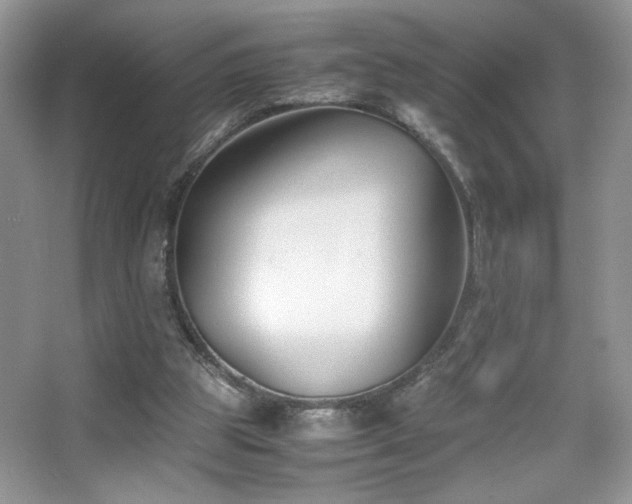 X0000065250153200602171437