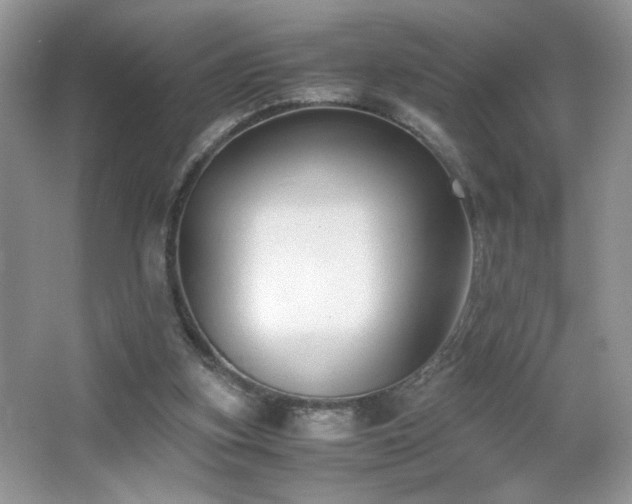 X0000065250155200602171437