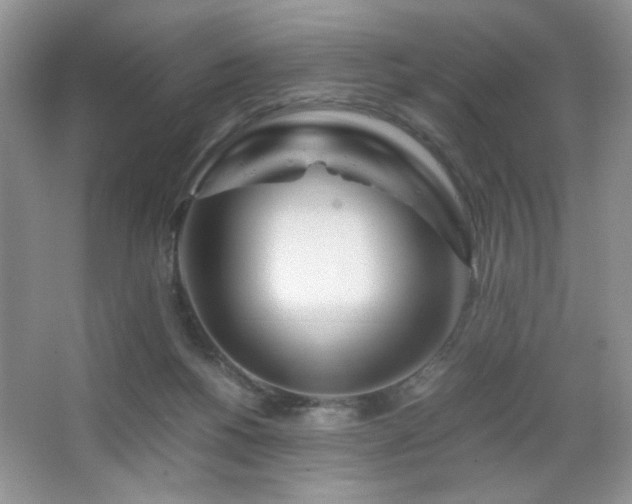 X0000065250168200602171437