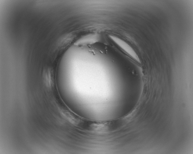 X0000065250170200602171437