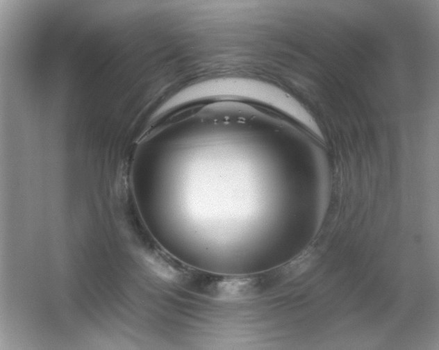 X0000065250172200602171437