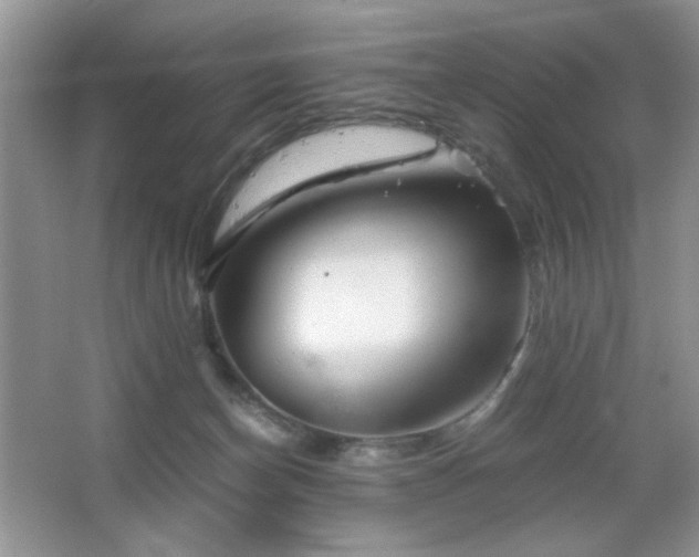 X0000065250174200602171437