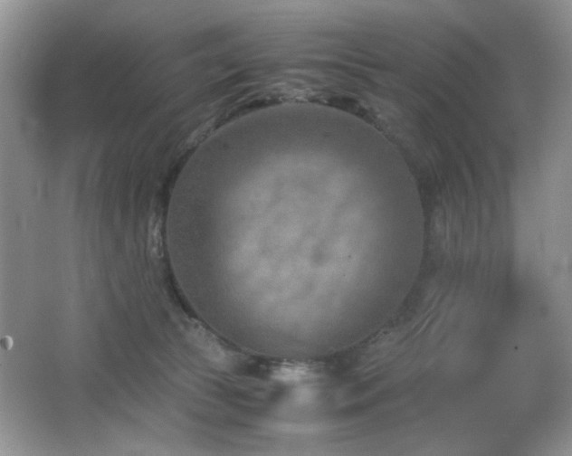 X0000065250177200602171437