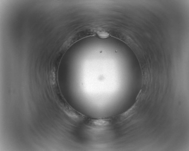 X0000065250183200602171437