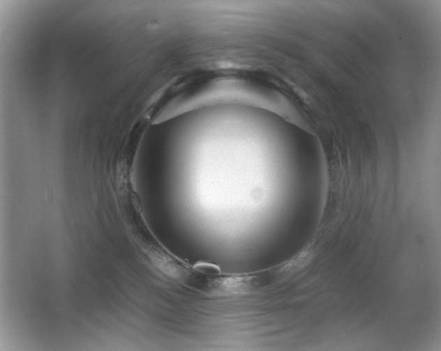 X0000065250184200602171437