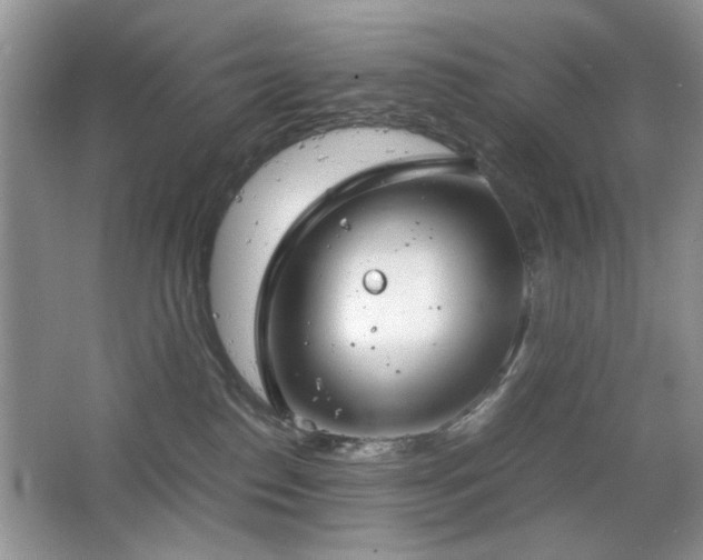 X0000065250186200602171437