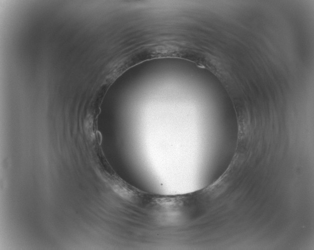 X0000065250187200602171438