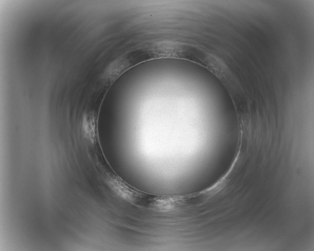 X0000065250190200602171438