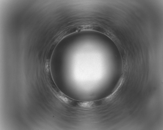 X0000065250191200602171438