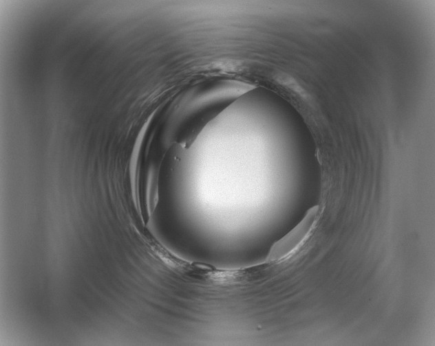 X0000065250192200602171438