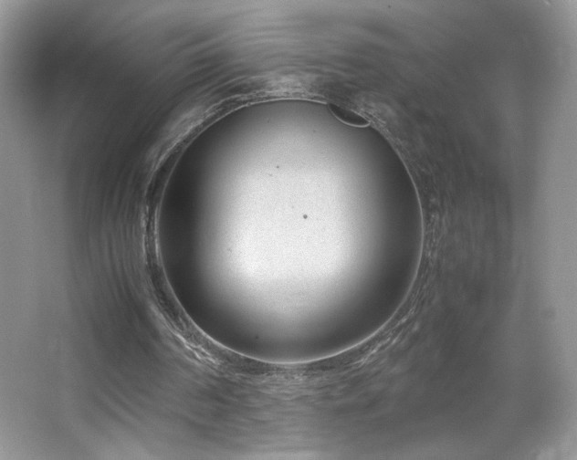 X0000065250194200602171437