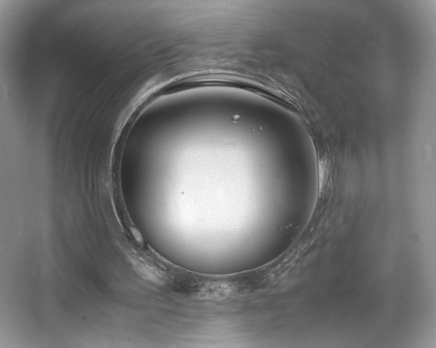 X0000065250195200602171437