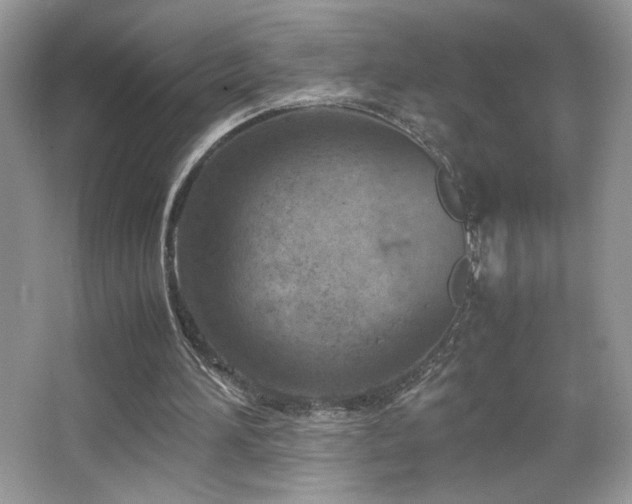 X0000065250196200602171437