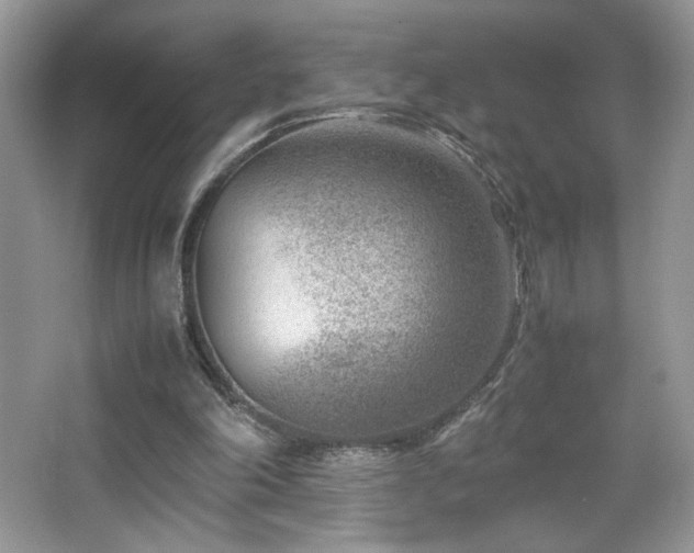 X0000065250198200602171437