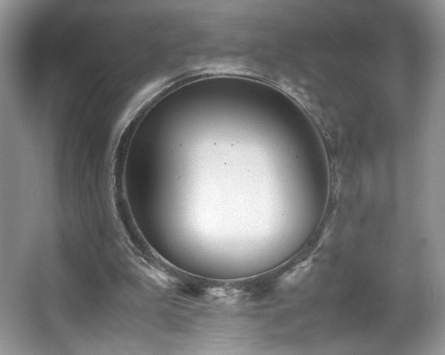 X0000065250199200602171437
