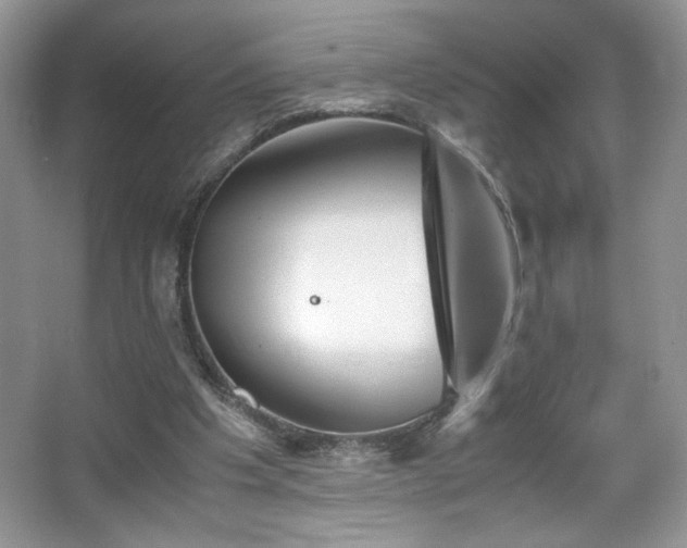 X0000065250201200602171437