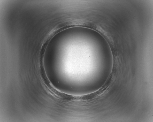 X0000065250203200602171437
