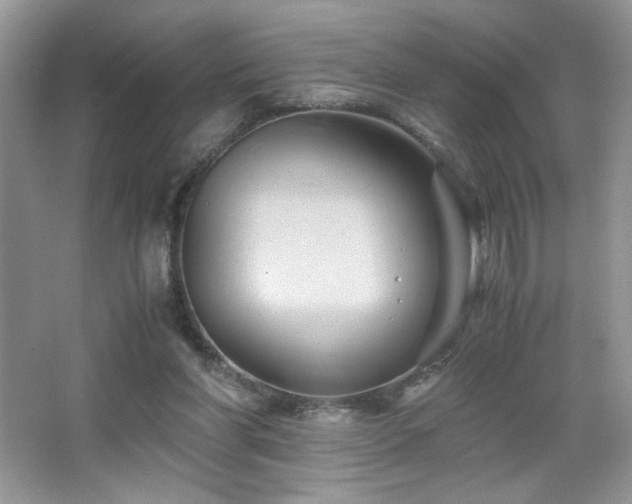 X0000065250206200602171437