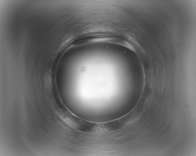 X0000065250207200602171437
