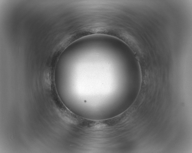X0000065250210200602171436