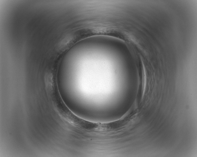 X0000065250211200602171436