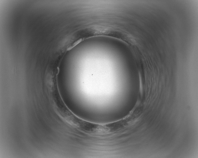 X0000065250215200602171436