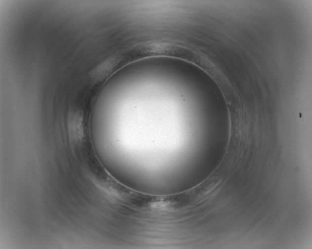 X0000065250216200602171436