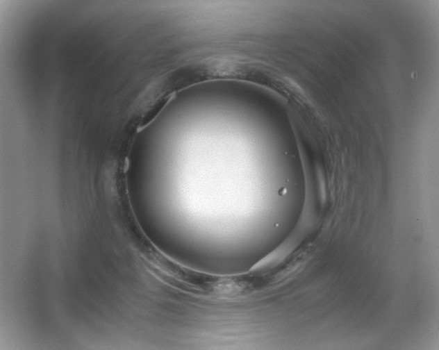 X0000065250217200602171436