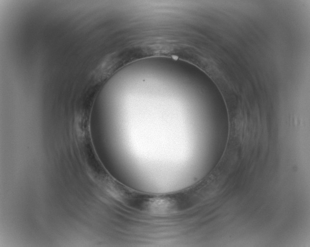 X0000065250218200602171436