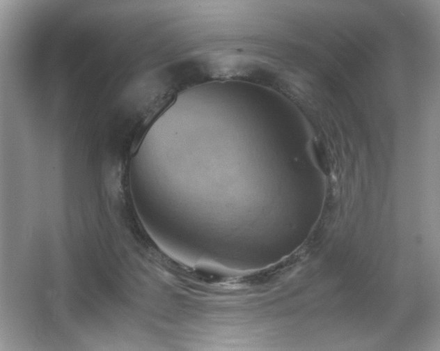 X0000065250219200602171436