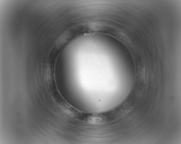 X0000065250220200602171436