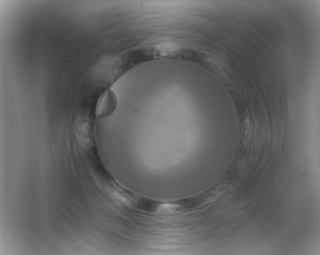 X0000065250222200602171436
