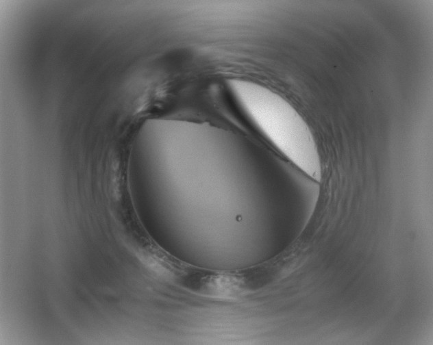 X0000065250223200602171436