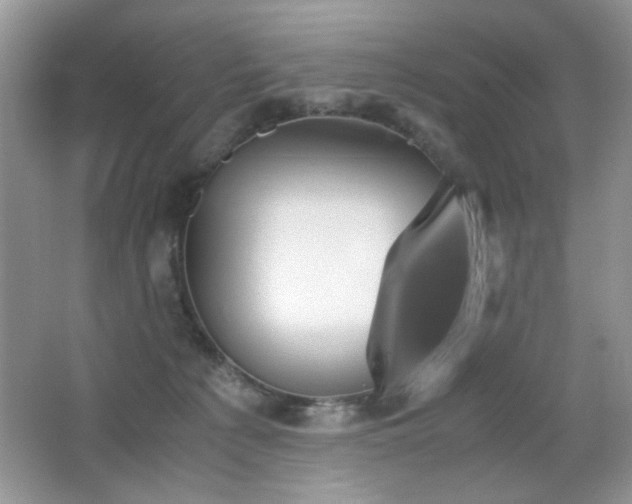 X0000065250225200602171436
