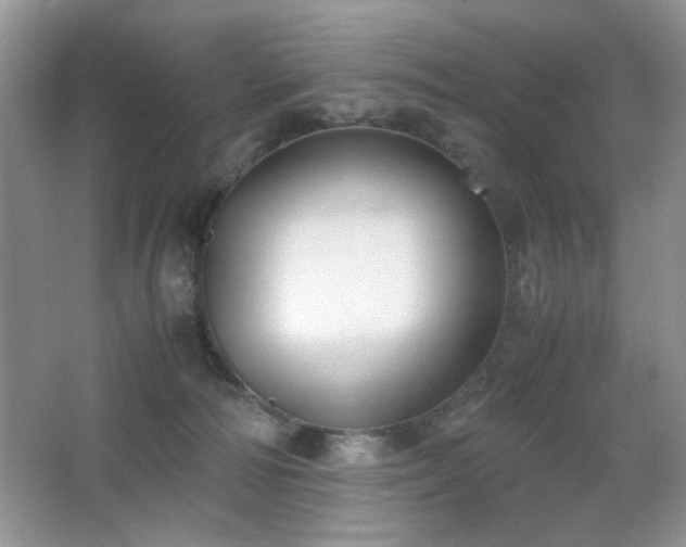 X0000065250226200602171436