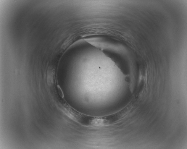 X0000065250227200602171436