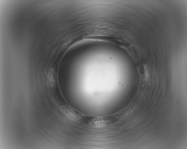 X0000065250228200602171436