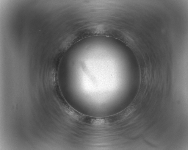 X0000065250230200602171436