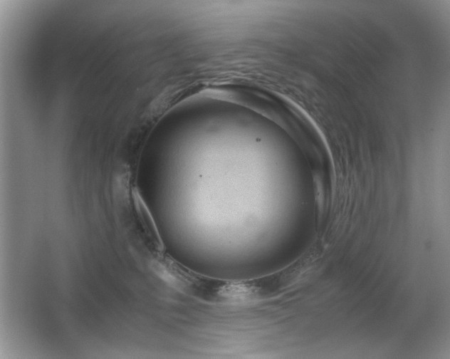 X0000065250231200602171436