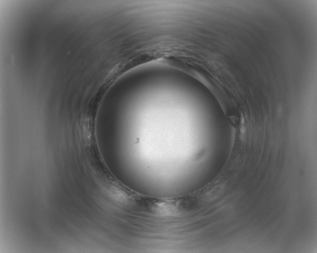 X0000065250232200602171436