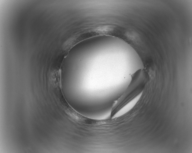 X0000065250237200602171436