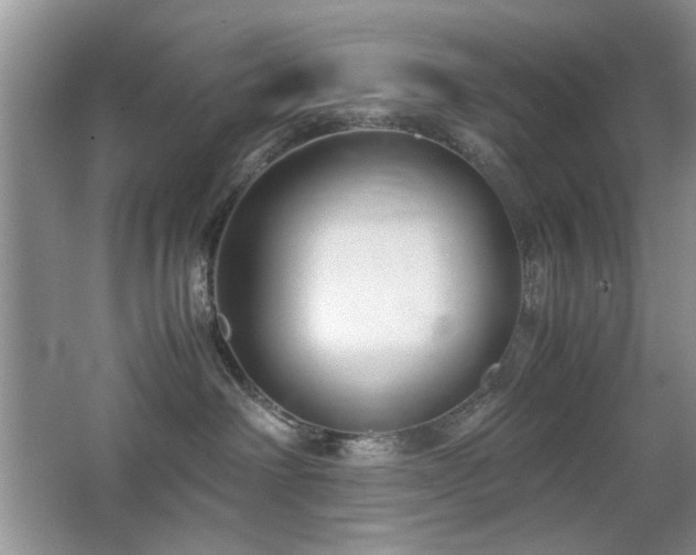 X0000065250238200602171436