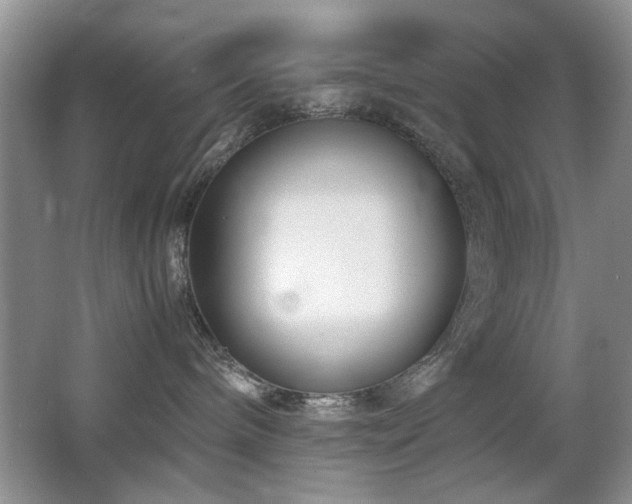 X0000065250240200602171436