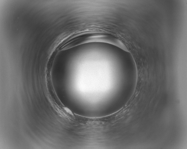 X0000065250242200602171435