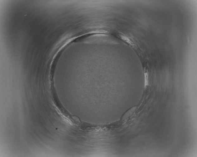 X0000065250243200602171435