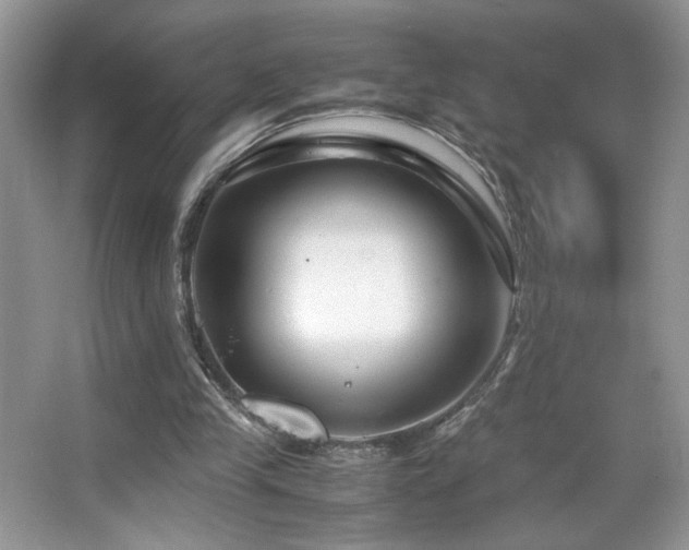 X0000065250245200602171435